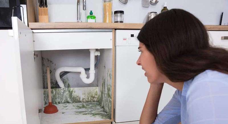 How to remove mold under kitchen sink